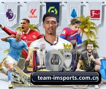 im体育网址 APP