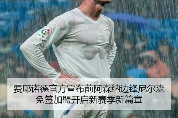 费耶诺德官方宣布前阿森纳边锋尼尔森免签加盟开启新赛季新篇章